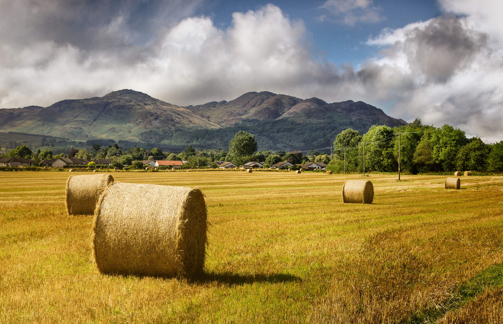 analysis-scotland-told-to-get-real-on-transport-and-agriculture