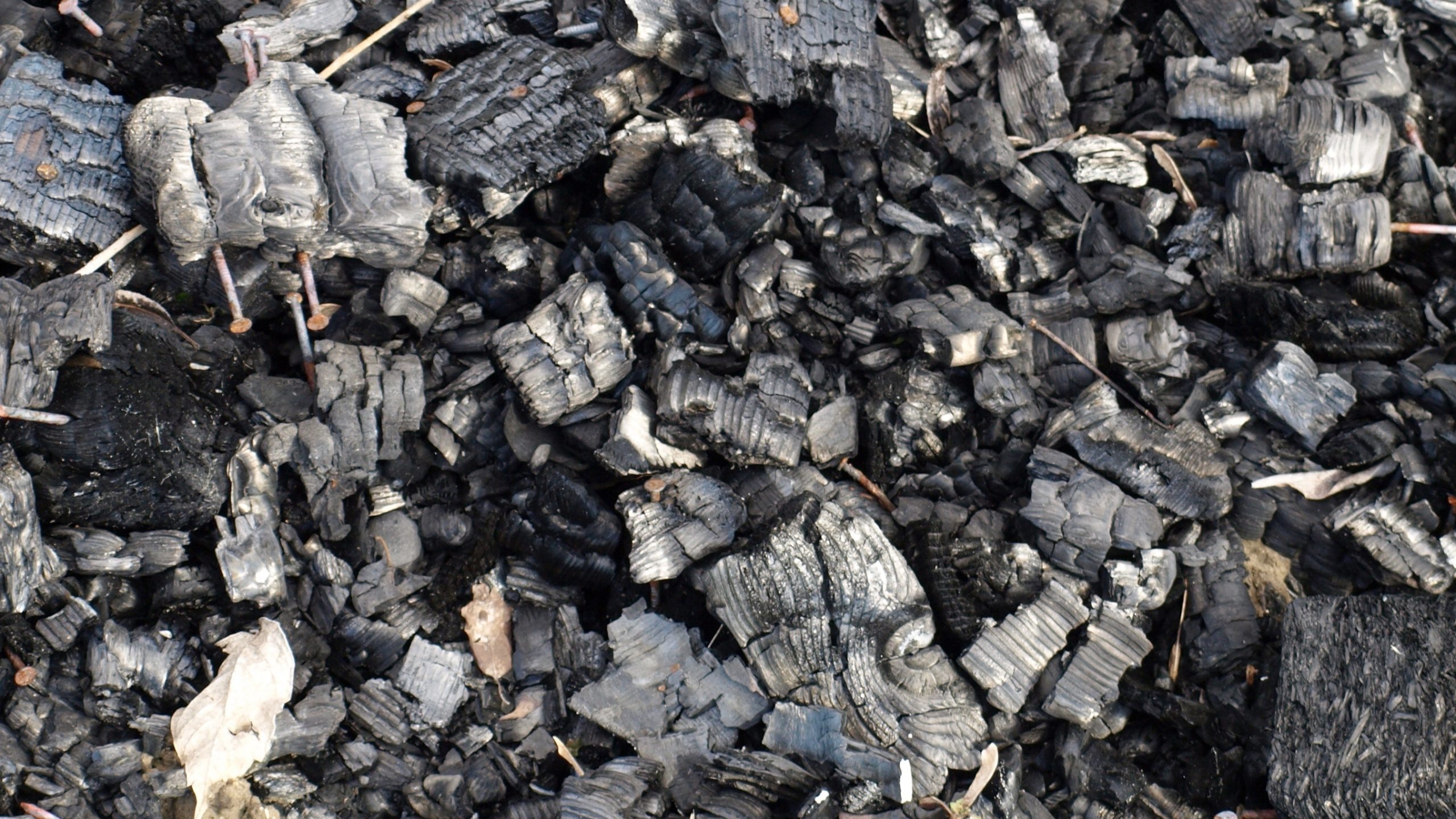 Biochar: Climate Change Solution or False Hope? - DeSmog