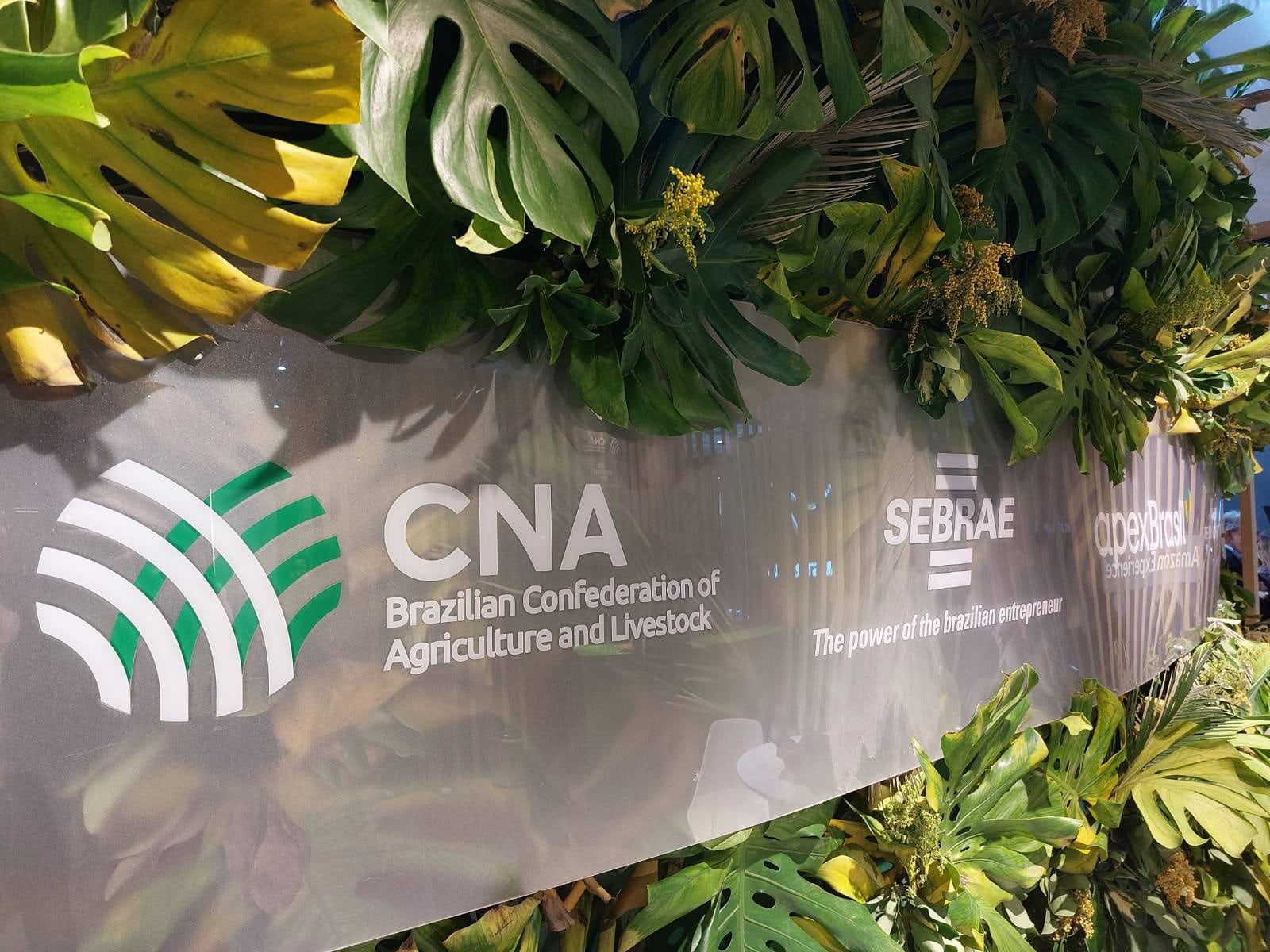 a series of logos surrounded by foliage