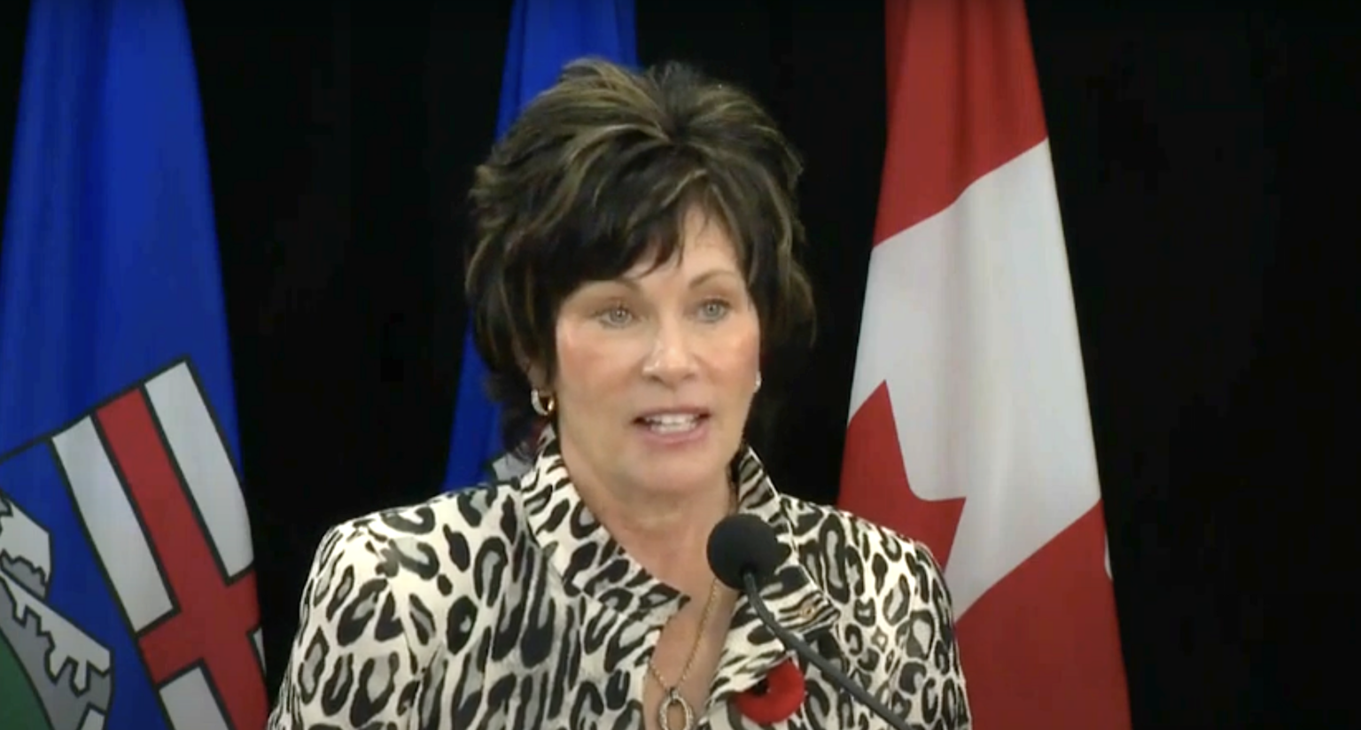 Former Alberta energy minister Sonya Savage