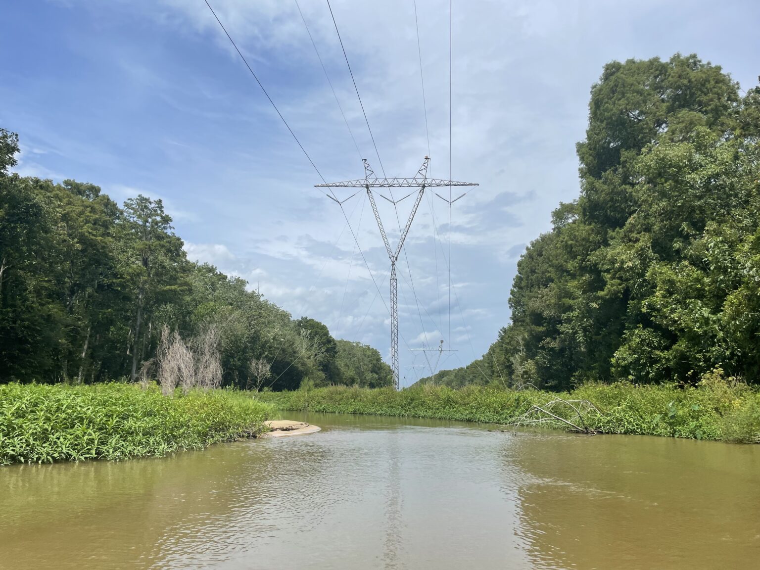 Power lines over a swamp in Louisiana.